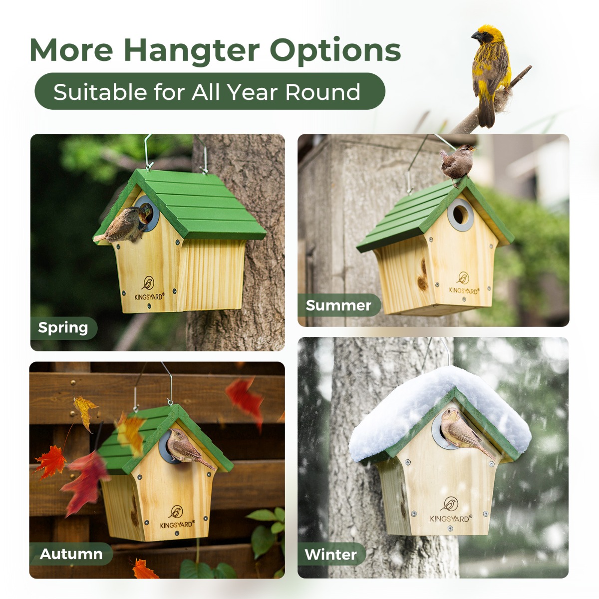 Oops! JavaScript is disabled