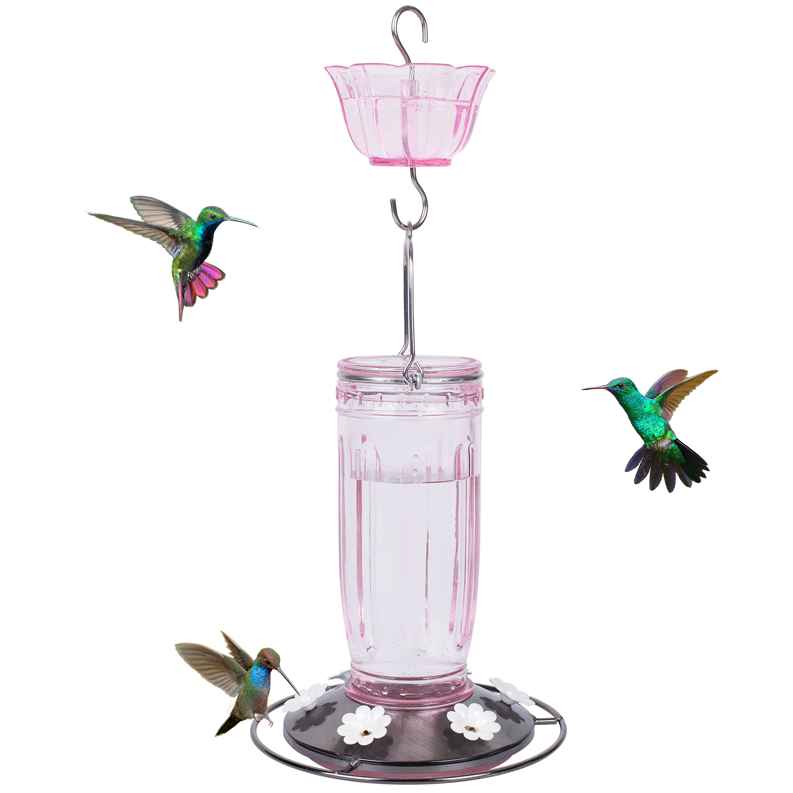 Oops! JavaScript is disabled